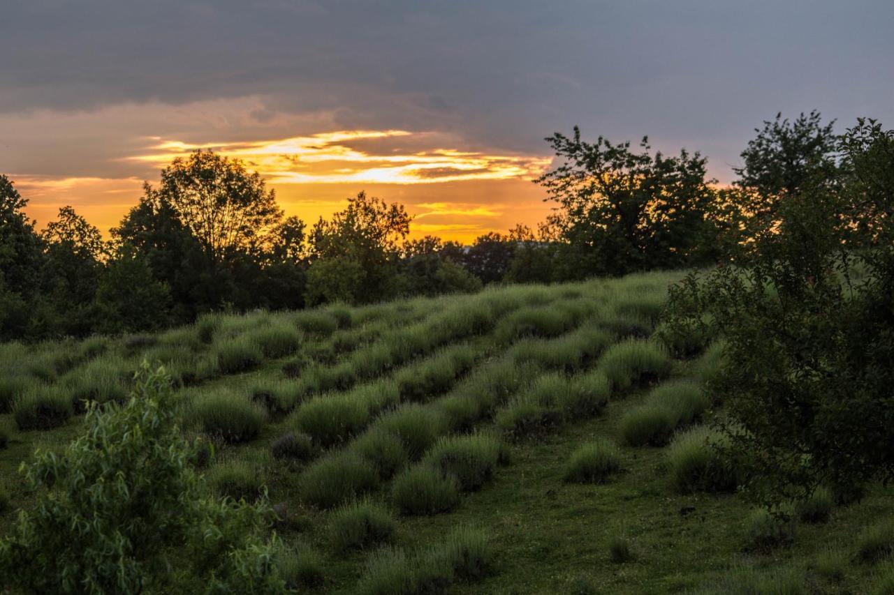 Lavanda Farm Apartmani Rakovica Exterior photo