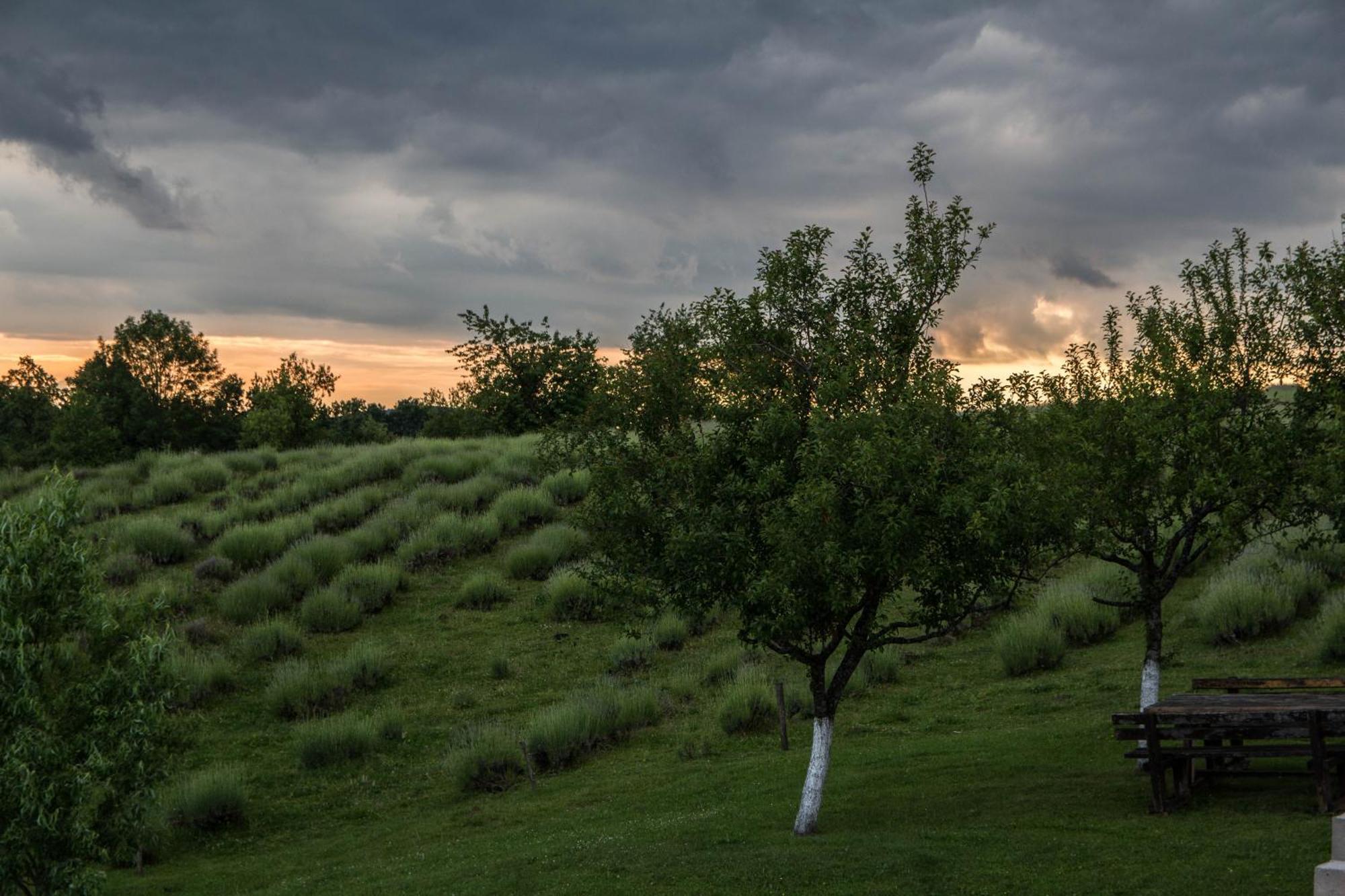 Lavanda Farm Apartmani Rakovica Exterior photo