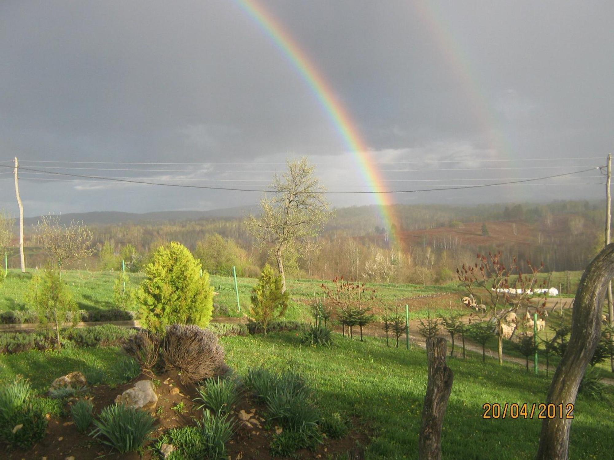 Lavanda Farm Apartmani Rakovica Exterior photo