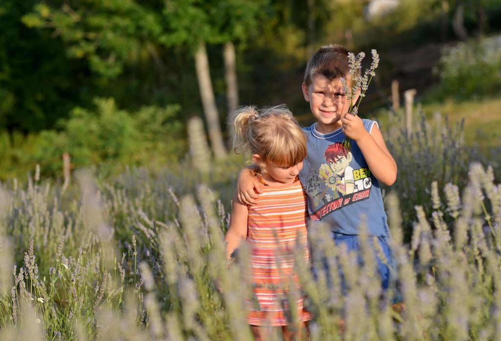 Lavanda Farm Apartmani Rakovica Exterior photo