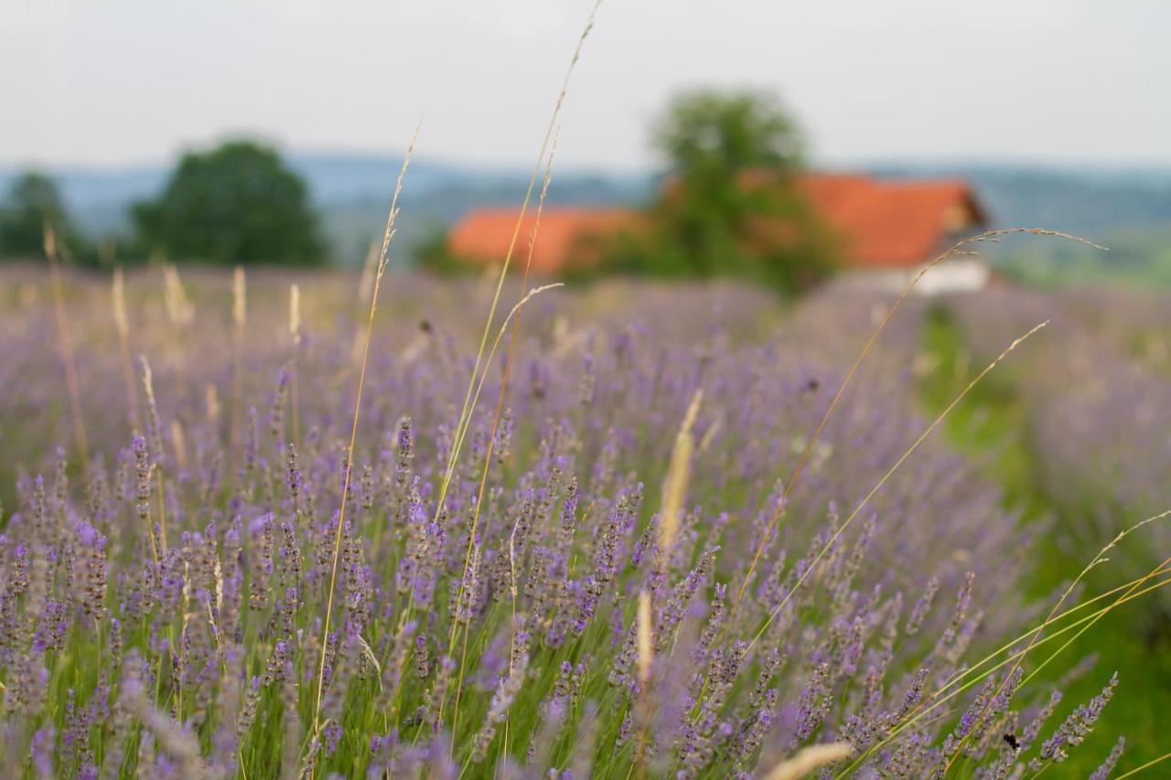 Lavanda Farm Apartmani Rakovica Exterior photo